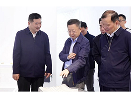 湖北省經(jīng)信廳黨組書記、廳長朱萬奎調(diào)研華工科技